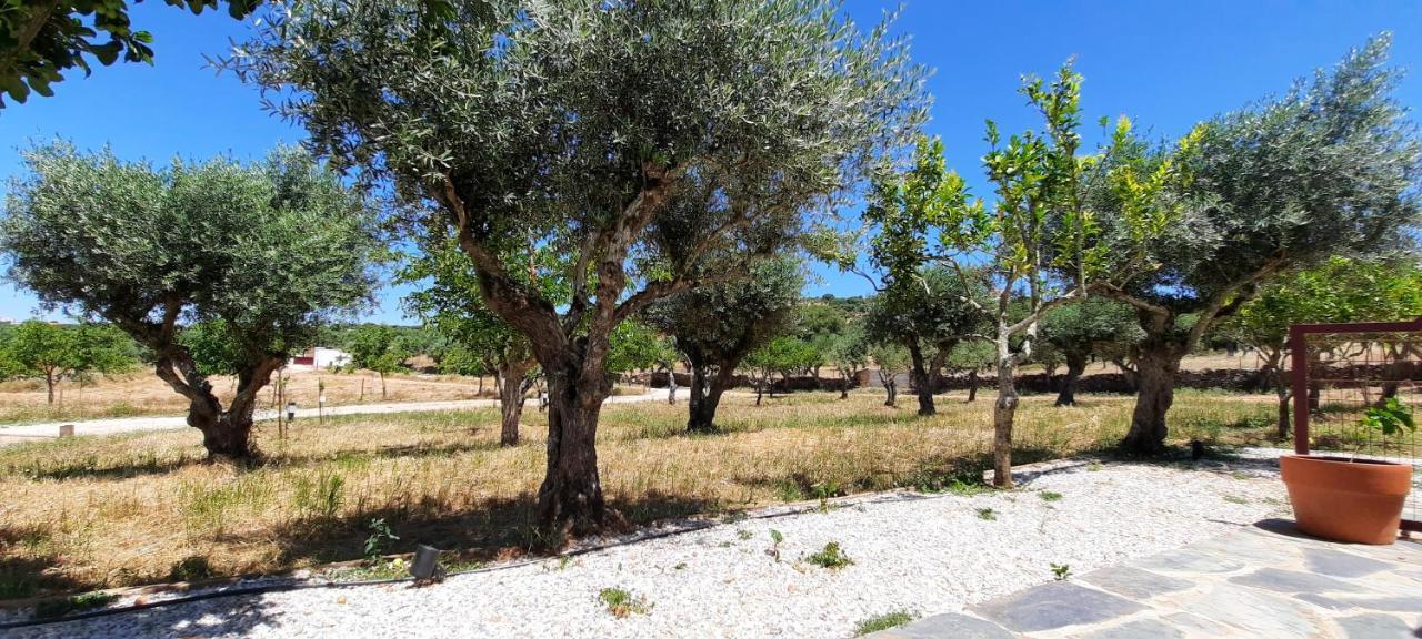 Quinta Da Soneca Apartman Alandroal Kültér fotó